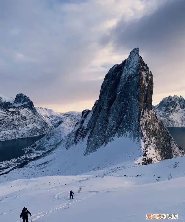 iphone 相机操作指南,iphone 13相机怎么调拍照最好