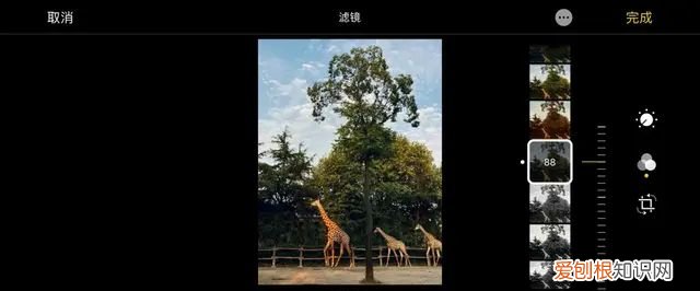 iphone 相机操作指南,iphone 13相机怎么调拍照最好