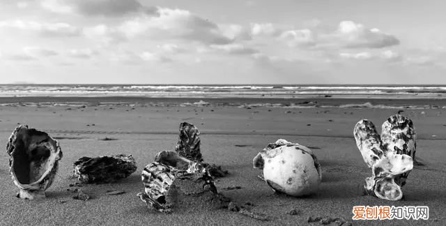 iphone 相机操作指南,iphone 13相机怎么调拍照最好