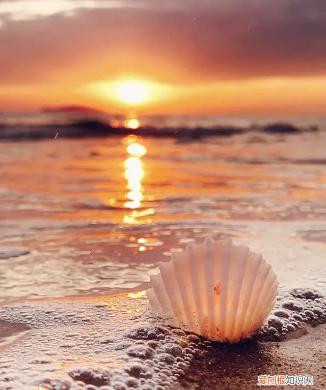 iphone 相机操作指南,iphone 13相机怎么调拍照最好