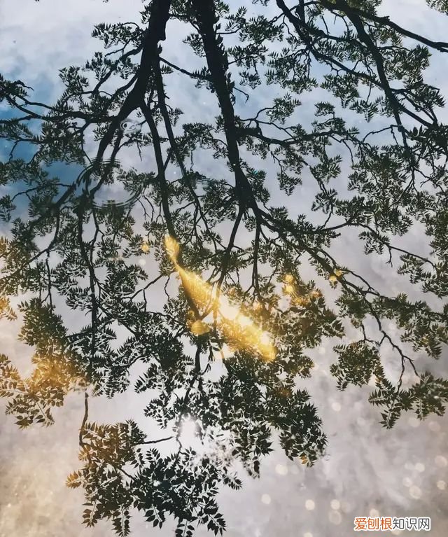 iphone 相机操作指南,iphone 13相机怎么调拍照最好