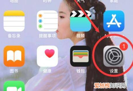 苹果怎么取消连续包月服务，苹果连续包月怎么取消自动续费