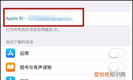 苹果怎么取消连续包月服务，苹果连续包月怎么取消自动续费