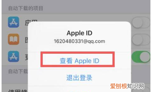 苹果怎么取消连续包月服务，苹果连续包月怎么取消自动续费
