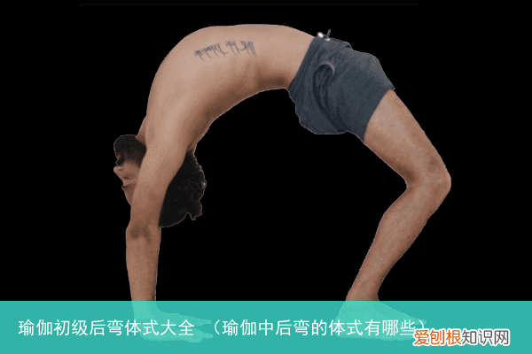 瑜伽中后弯的体式有哪些 瑜伽初级后弯体式大全