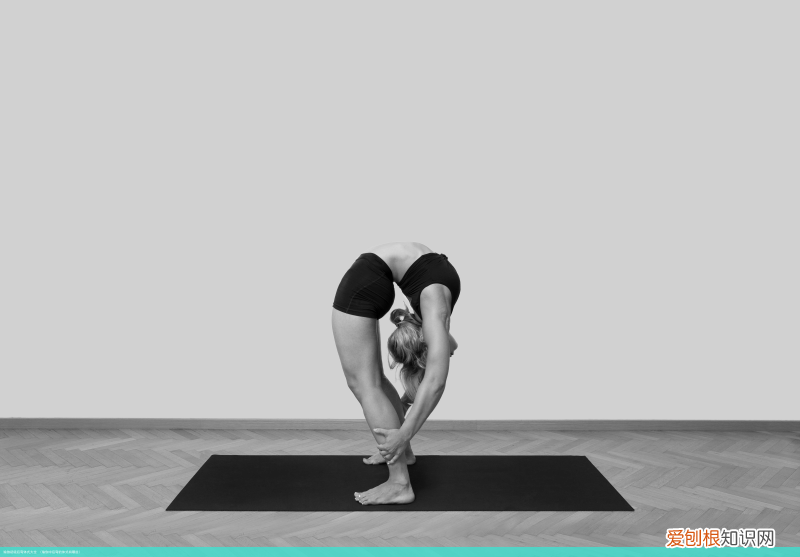 瑜伽中后弯的体式有哪些 瑜伽初级后弯体式大全