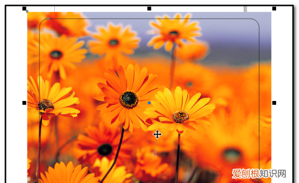 cdr要咋做圆角，cdr里面的三角形怎么画