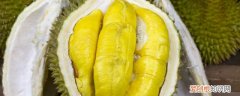 空腹吃榴莲好吗早上 空腹吃榴莲好吗