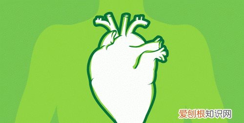 一文看懂iphone自带app健康各项指标