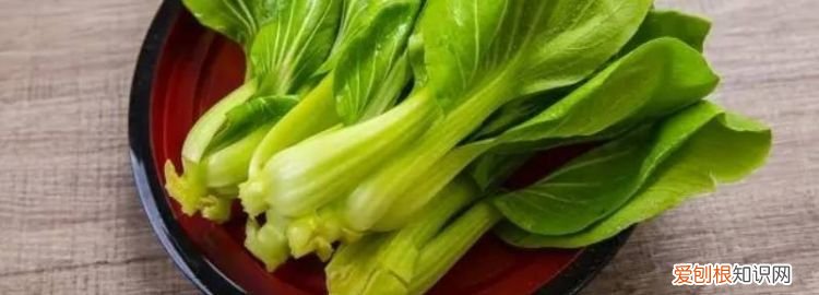 青江菜的种植方法及季节 青江菜是什么菜