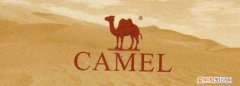 骆驼商标转让 骆驼商标是什么牌子
