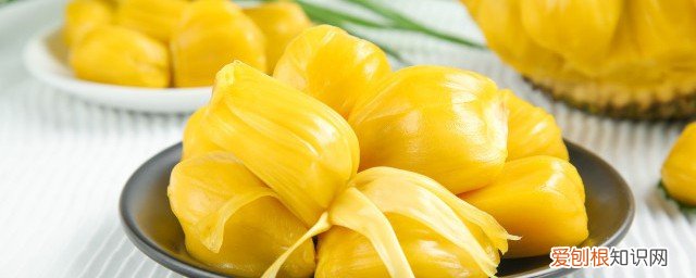 菠萝蜜能生吃吗? 生的菠萝蜜能吃吗