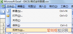 csv转换为excel