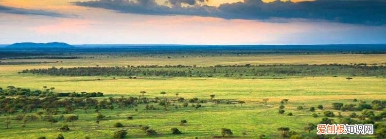 非洲又称 非洲被誉为什么