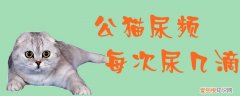 公猫尿频每次尿几滴,猫，公猫尿频繁每次只尿一滴检查