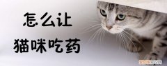 怎么让猫咪吃药,猫咪，怎么让猫咪喝药