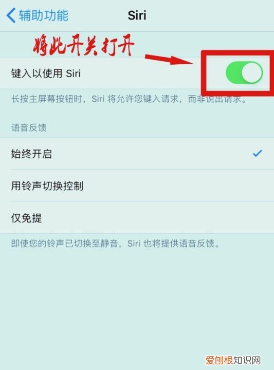 两个Siri对话，siri怎么设置语音对话