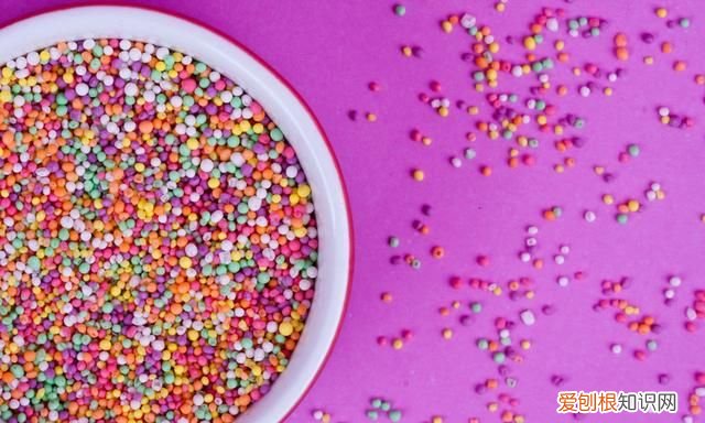 烘焙小白入门必买 烘焙新手必须准备什么工具