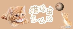 猫绦虫,猫，猫咪绦虫病