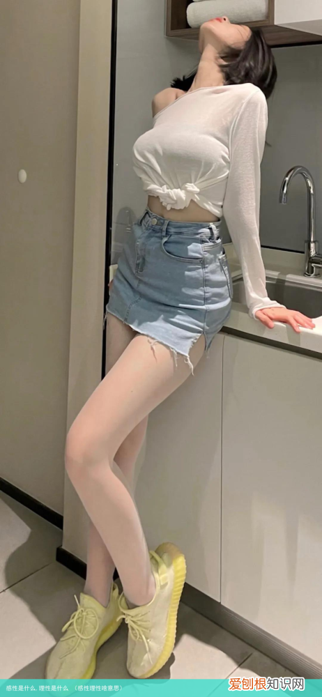 感性理性啥意思 感性是什么,理性是什么