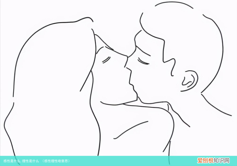 感性理性啥意思 感性是什么,理性是什么