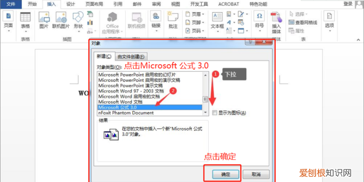 word公式编辑器的公式不见了