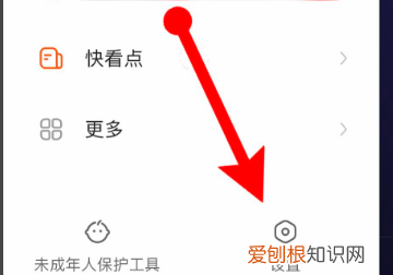 快手免流怎么设置，快手极速版怎么赚钱