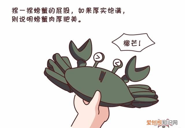 蟹黄蟹膏要怎么吃才更有营养呢,蟹黄蟹膏是螃蟹的什么做的
