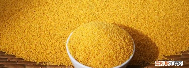 小米的蛋白含量是多少 小米蛋白质含量表