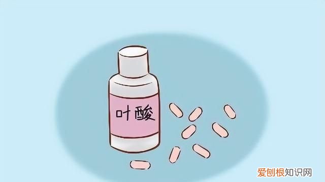 天然叶酸前10名食物排行榜 天然叶酸的食物前十名