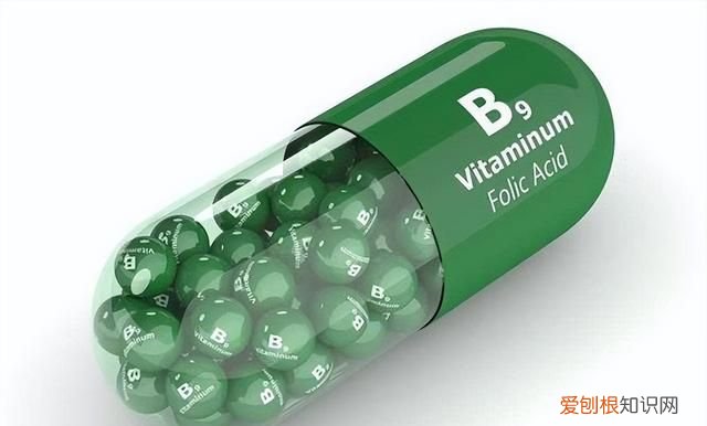 天然叶酸前10名食物排行榜 天然叶酸的食物前十名