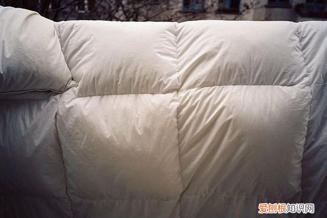 棉被蚕丝被羽绒被哪个被子最暖和