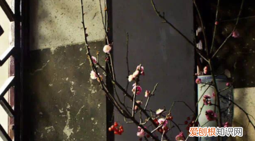 凡是过往皆为序章上一句，凡为过往皆为序章下句是什么