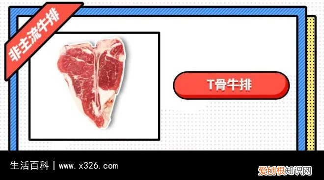 牡蛎牛肉怎么做 牛牡蛎肉图片大全