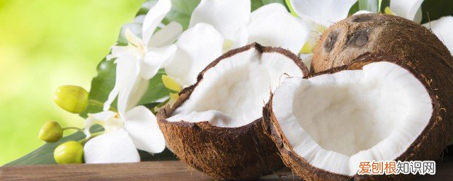 羊肉和椰子汁能一起吃吗 羊肉和椰子能一起吃吗