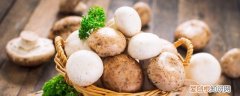 蘑菇和羊肉能不能一起吃 蘑菇羊肉能一起吃吗