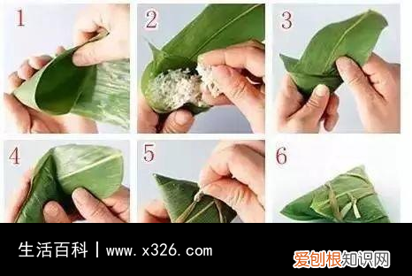 粽子可以用哪些叶子包 可以用来包粽子的树叶