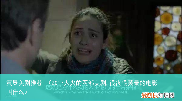 2017大火的两部美剧,很丧很黄暴的电影叫什么 黄暴美剧推荐
