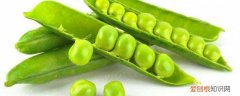 青豆功效与作用营养价值 青豆的营养价值及功效禁忌