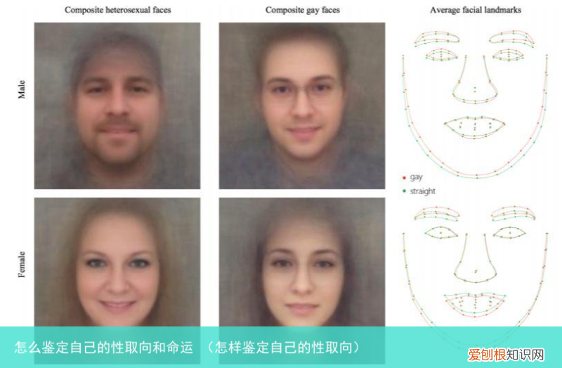 怎样鉴定自己的性取向 怎么鉴定自己的性取向和命运