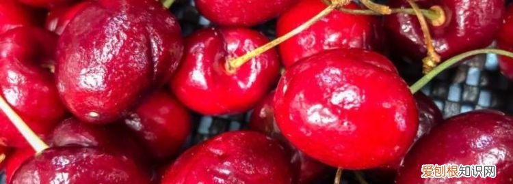 冬天车厘子是催熟的吗 车厘子冬天有叶子吗