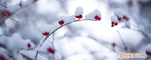 冬季上火不能吃什么 冬季上火要注意什么东西