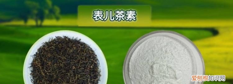 儿茶素是什么物质 儿茶素egcg的功效作用机理