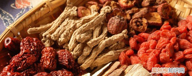 枸杞根的功效作用 枸杞根有什么功效