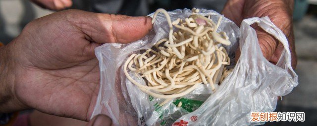 烧灯火有什么功效能治带状疱疹的后遗证吗 烧灯火有什么功效