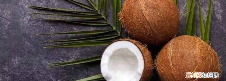 椰子壳怎样打开才能吃到椰肉 怎么打开椰子壳取椰肉
