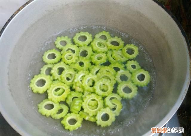 苦瓜凉拌怎么做最好吃视频 苦瓜拌凉菜怎么拌好吃视频教学