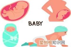 怀孕8可以听到胎心吗 ，怀孕8周能听见胎心吗