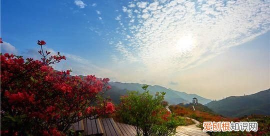 你最喜欢去浏阳的哪些地方英文 你最喜欢去浏阳的哪些地方英语