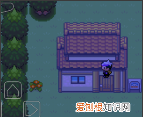 口袋妖怪手机版金手指怎么用